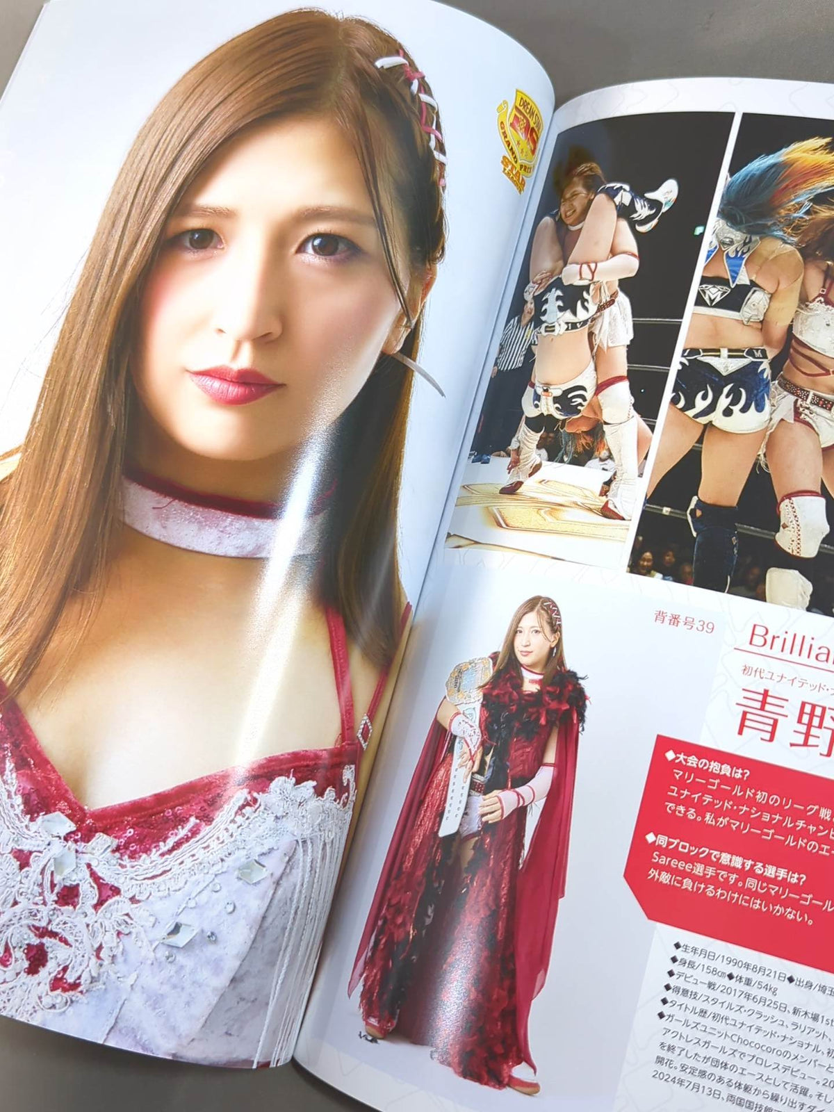 マリーゴールド / MARIGOLD GUIDE BOOK Vol.4 ~DREAM☆STAR GP2024 記念~