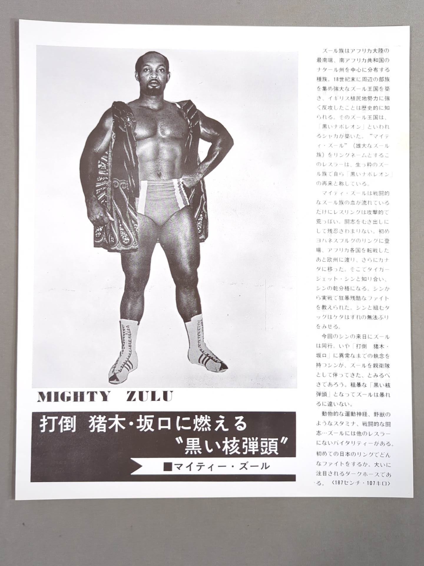 75ビッグファイトシリーズ