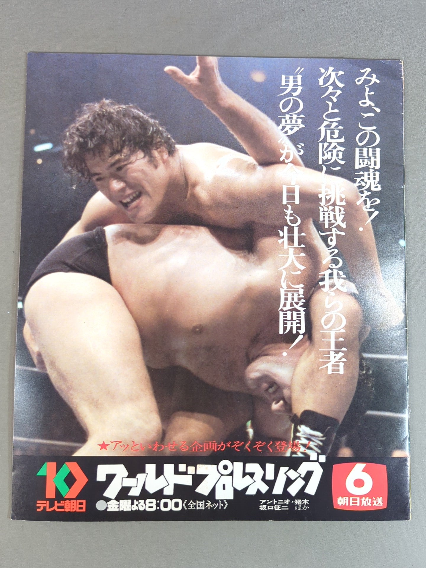 79ビッグファイトシリーズ