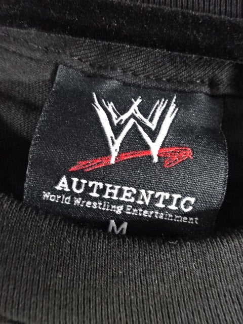 SURVIVOR SERIES 2010 ピクチャーTシャツ①(WWE(2010) / ブラック)