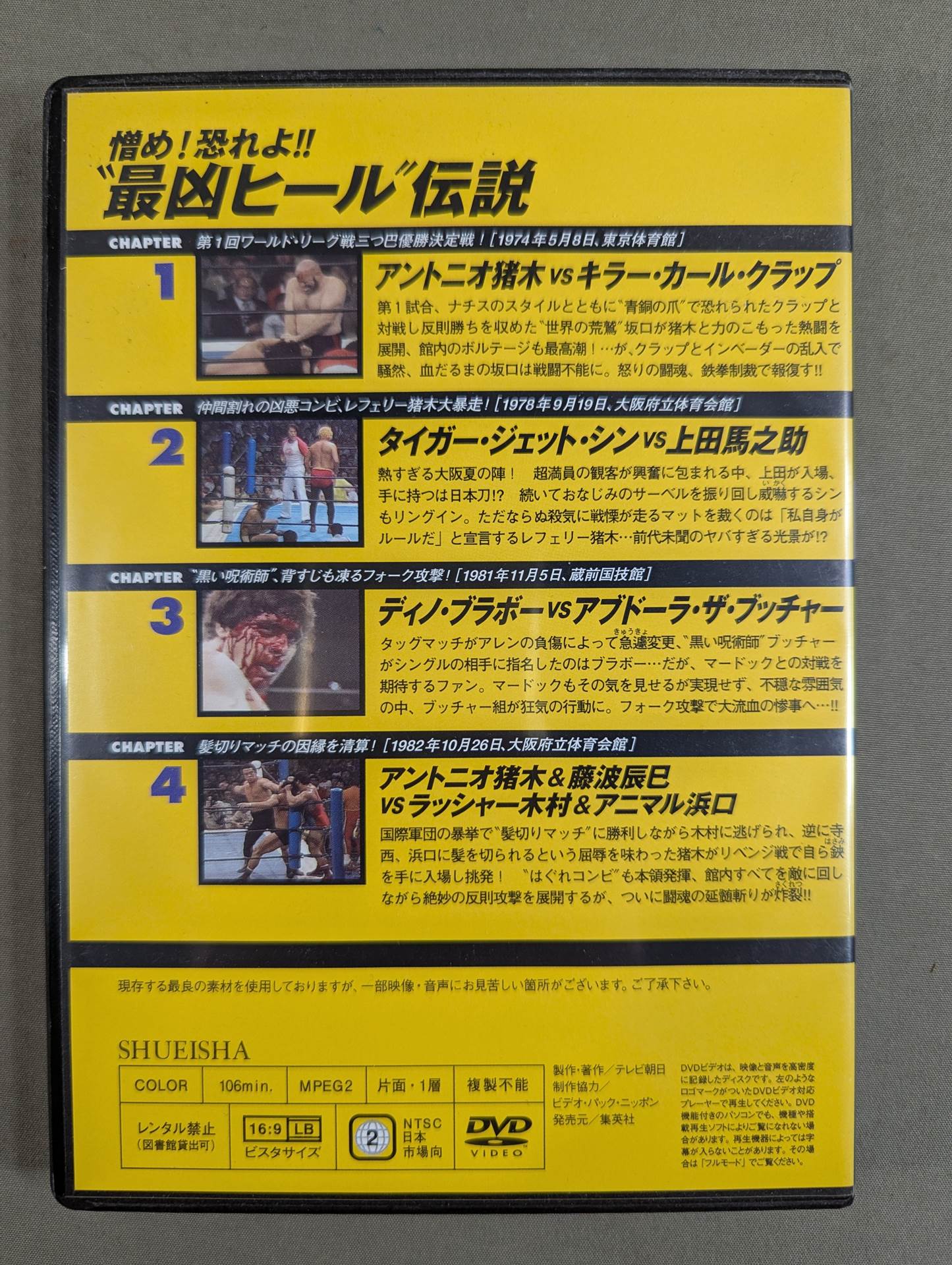 Burn! New Japan Pro Wrestling vol.29