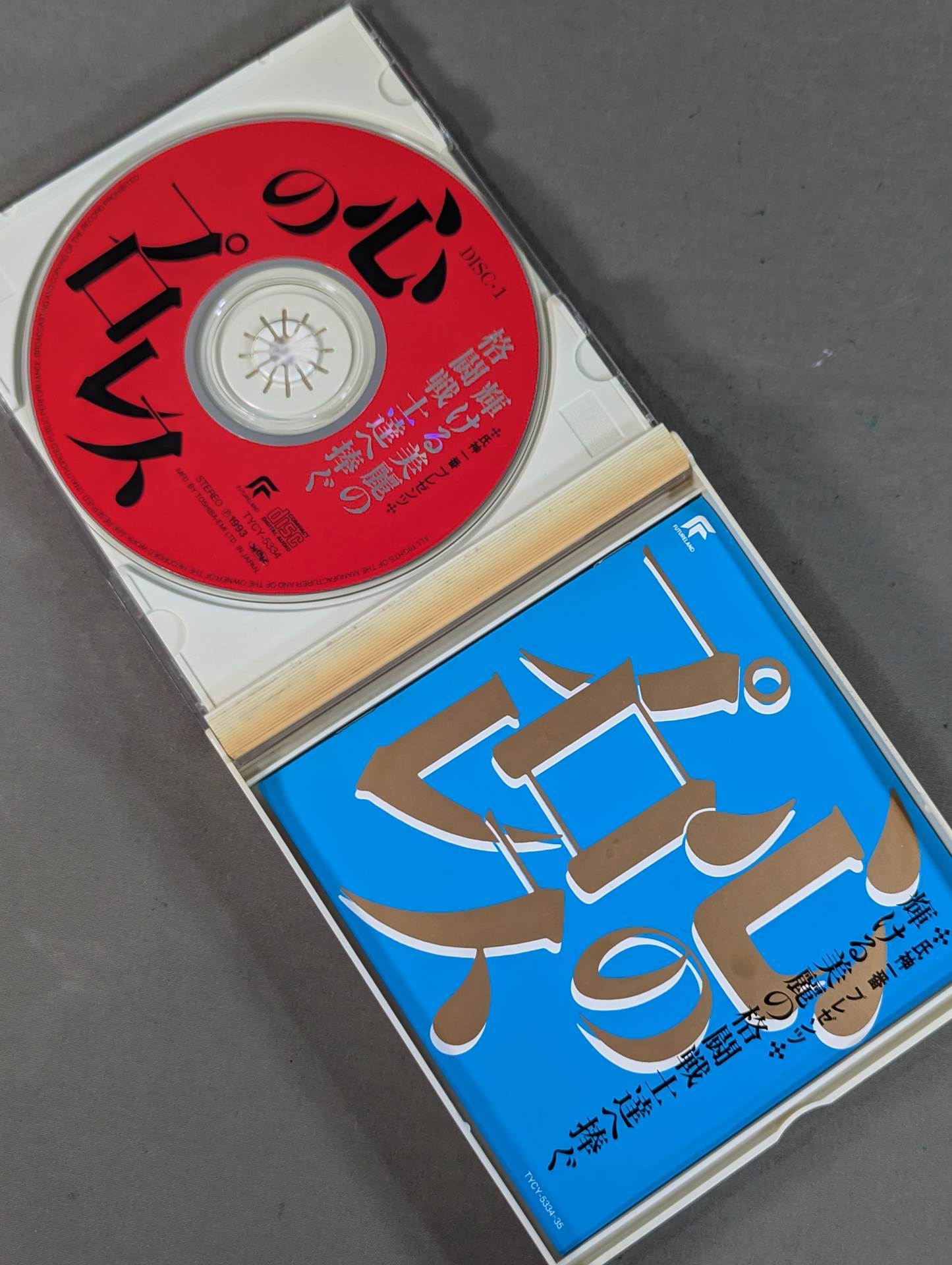 心のプロレス 輝ける美麗の格闘戦士達へ捧ぐ