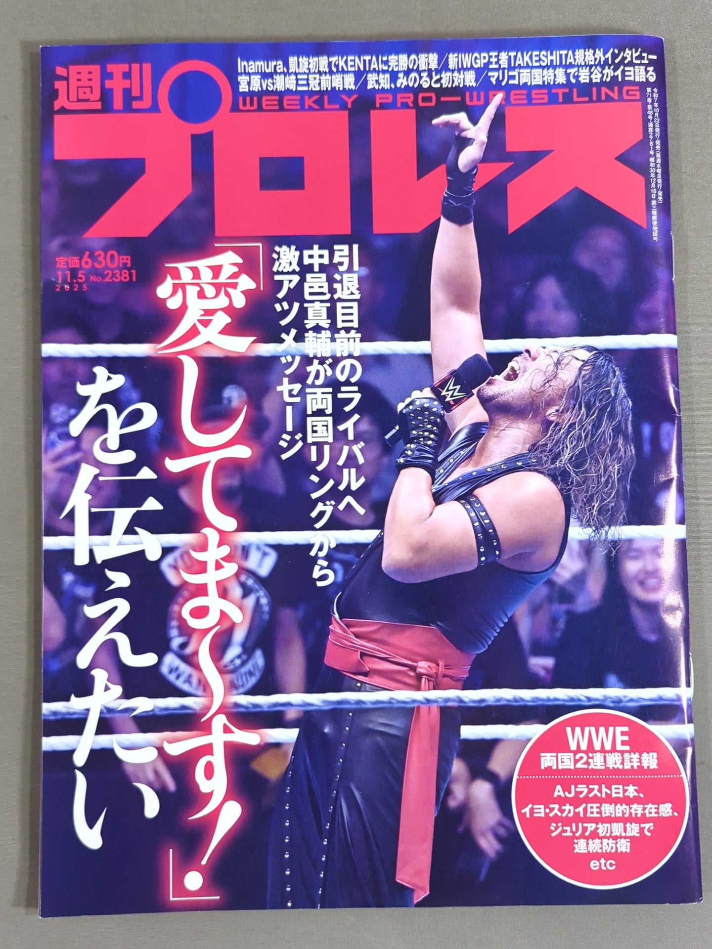 週刊プロレス2381 – 闘道館