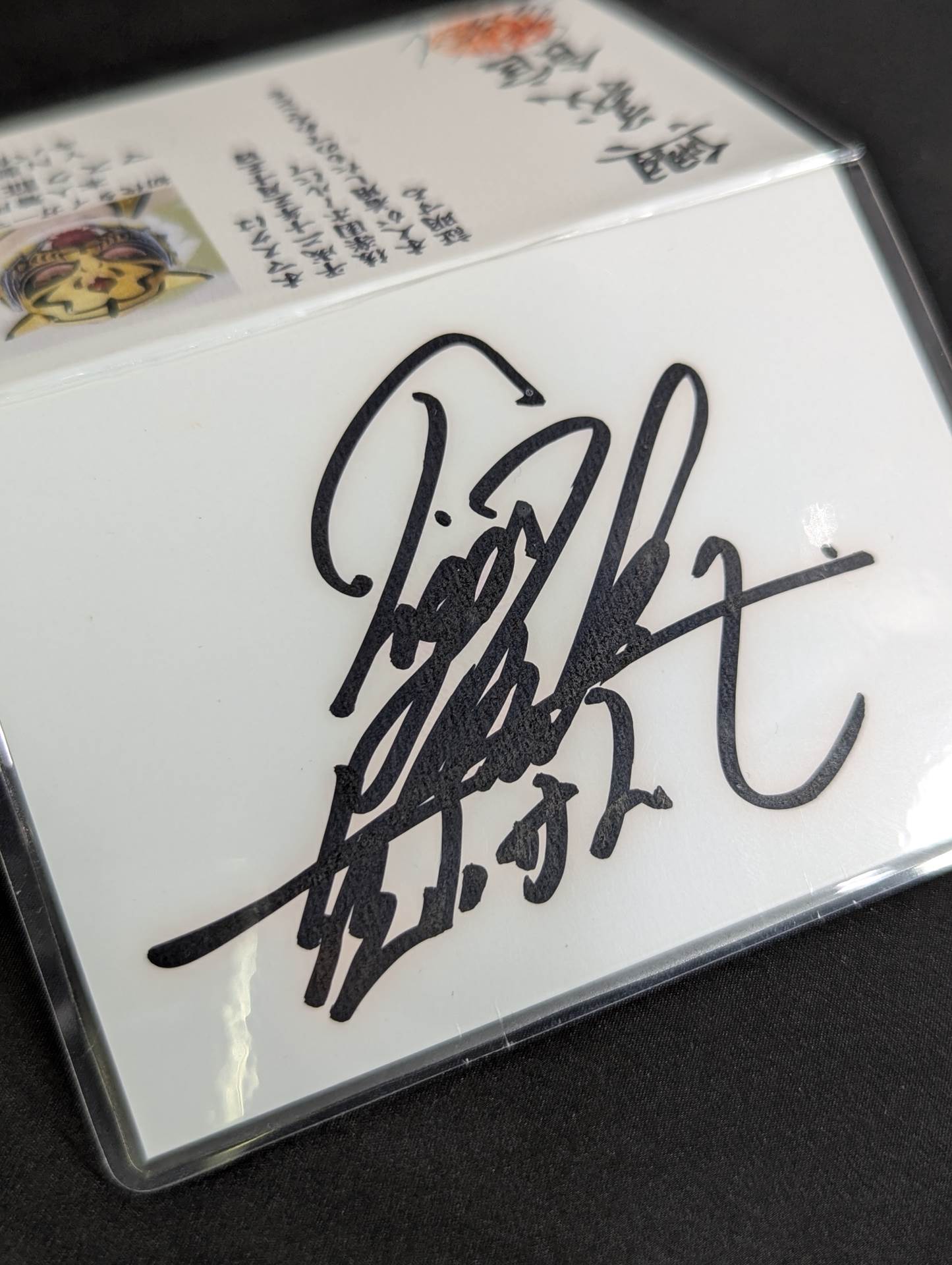 The first Tiger Mask