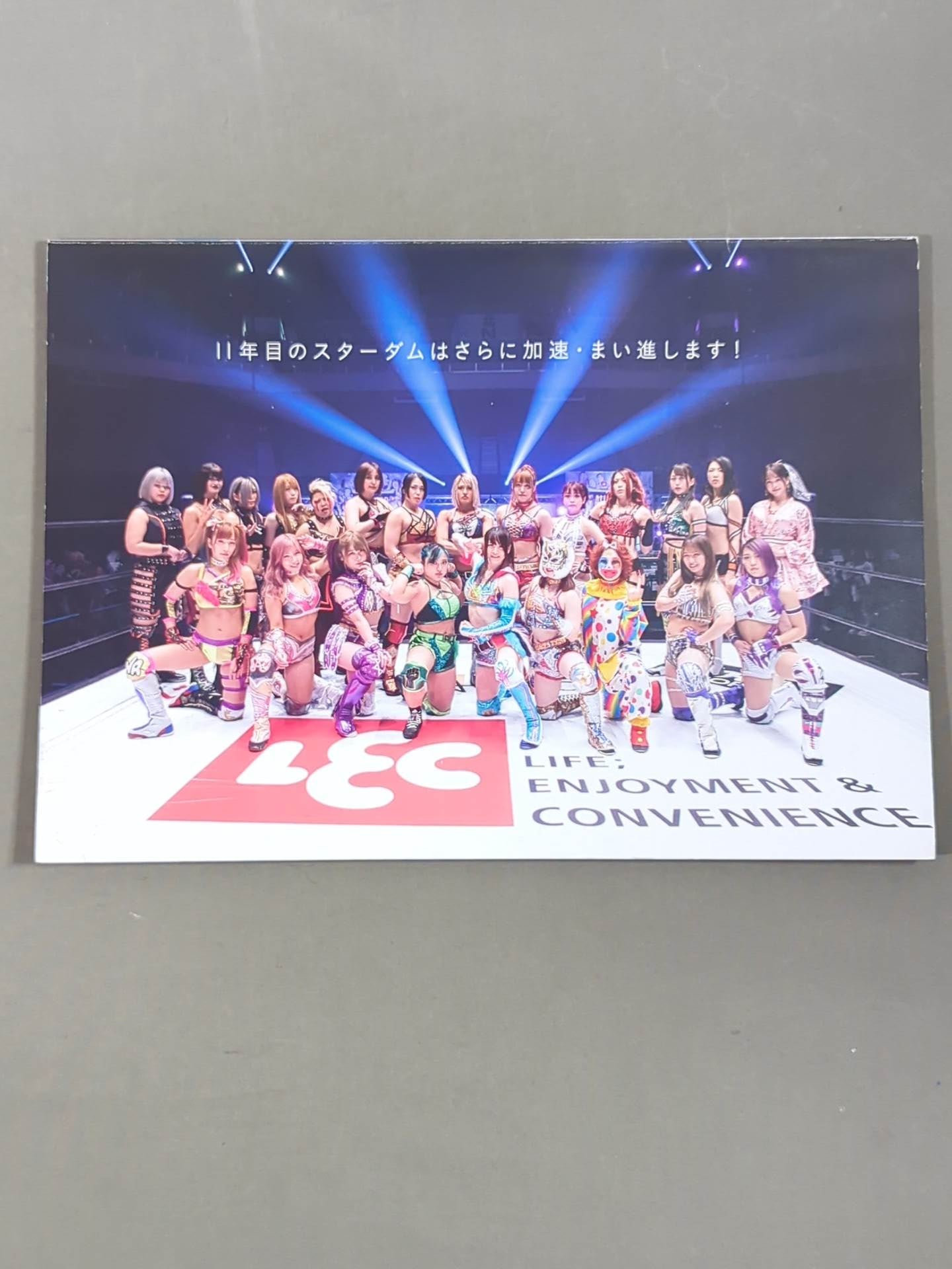 STARDOM OFFICIAL GUIDE BOOK Vol.135
