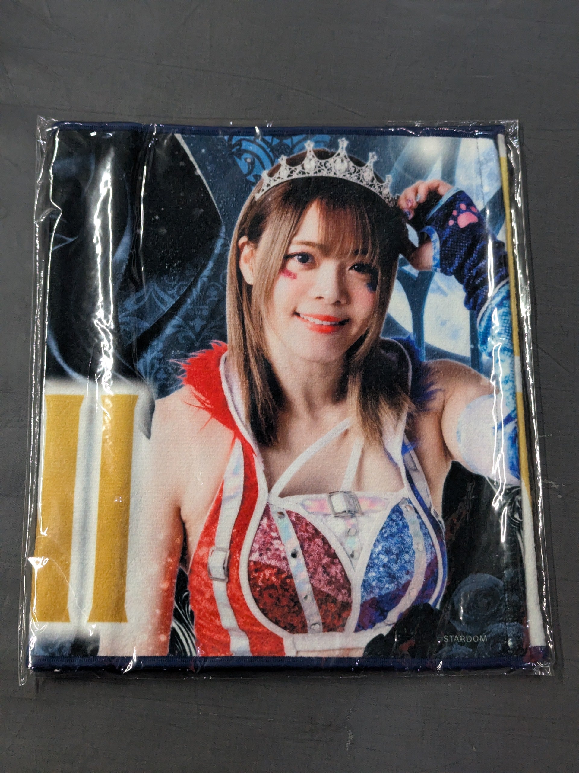 岩谷麻優 選手応援タオル ALLSTAR GRAND QUEENDOM 2024 – 闘道館