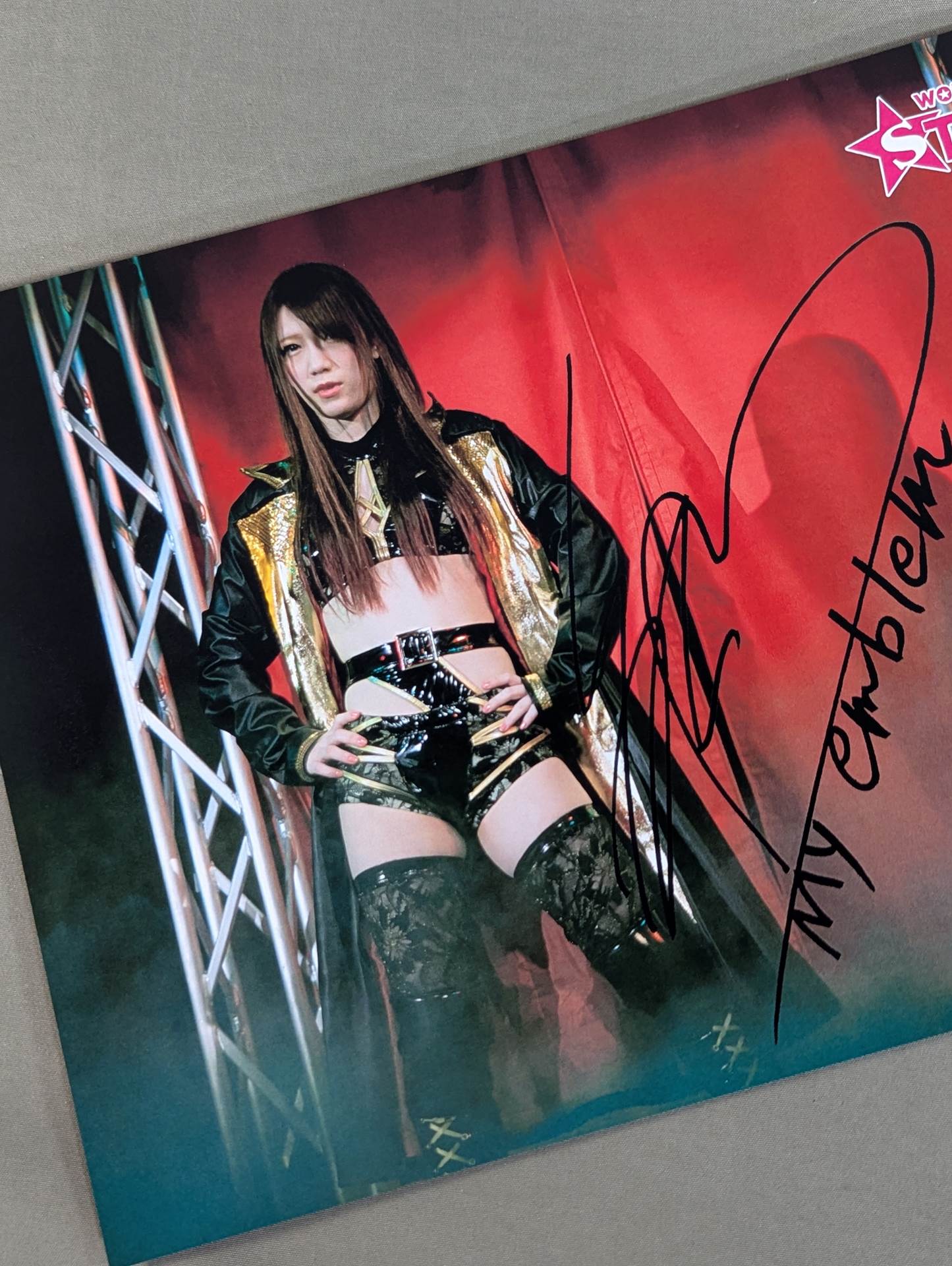 Saki Kashima Stardom Pro-Photo (NO PEOPLE GATE 2020①)