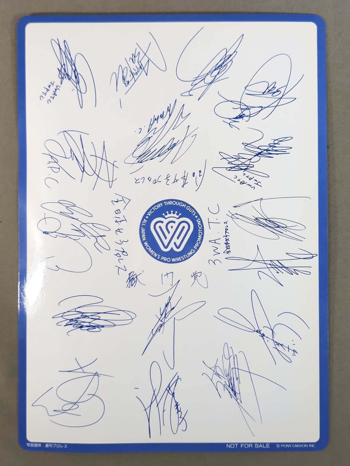 ★非売品★ 北斗晶 下敷き