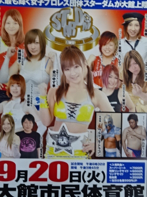 Stardom WONDERFUL STARS 2011