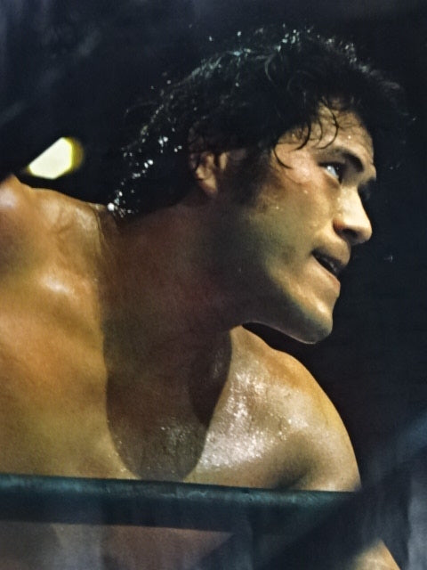 Antonio Inoki Posters(3)