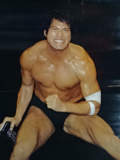 Antonio Inoki Posters(5)