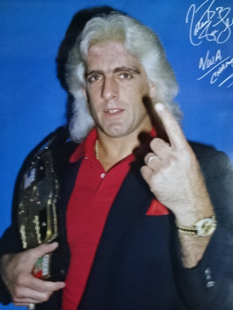 Rick Flair GONG JUMBO PIN-UP Wrestling SELECTION