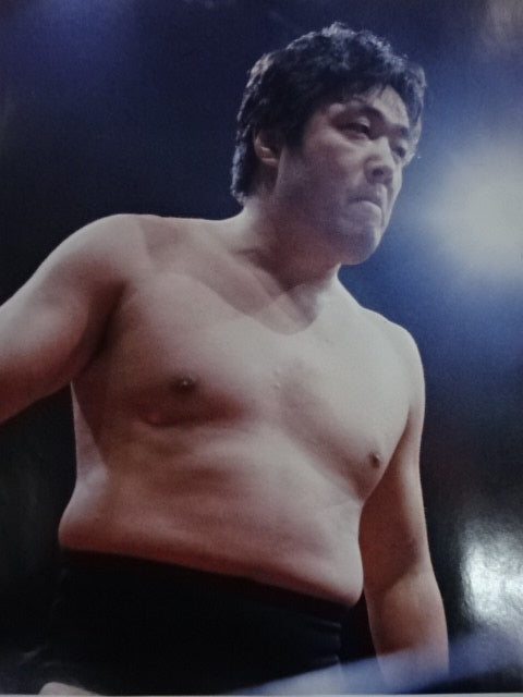 ジャンボ鶴田 GONG JUMBO PIN-UP WRESTLING SELECTION