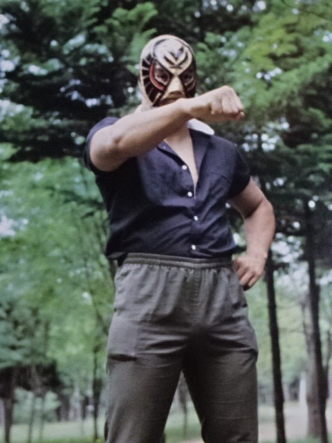 The Cobra GONG JUMBO PIN-UP Wrestling SELECTION