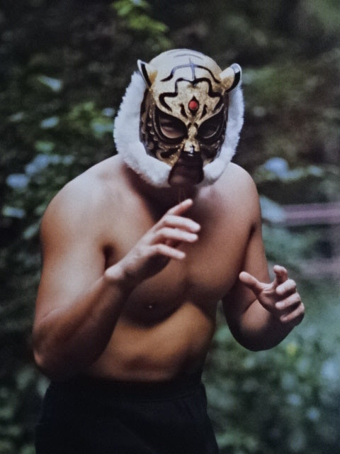 First Tiger Mask GONG JUMBO PIN-UP Wrestling SELECTION