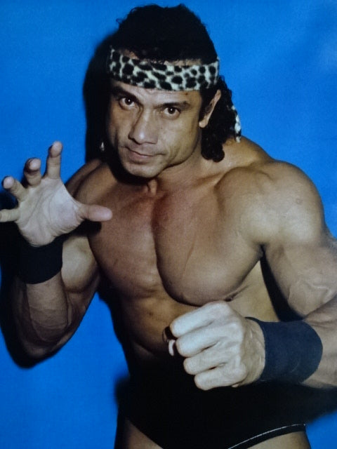 Jimmy Snuka GONG JUMBO PIN-UP Wrestling SELECTION
