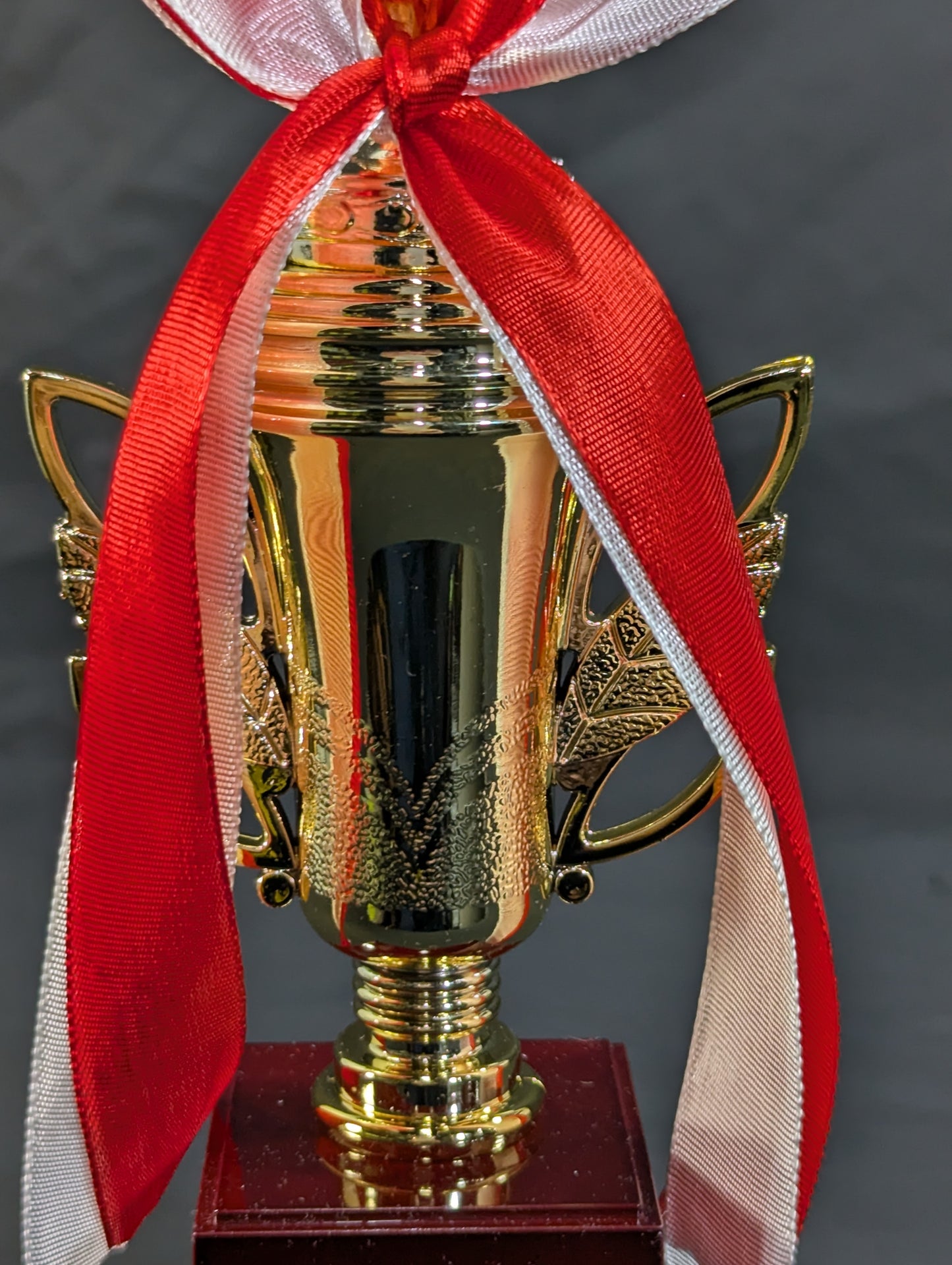 ★STARDOM AWARD 2023★ Replica Commemorative Trophy