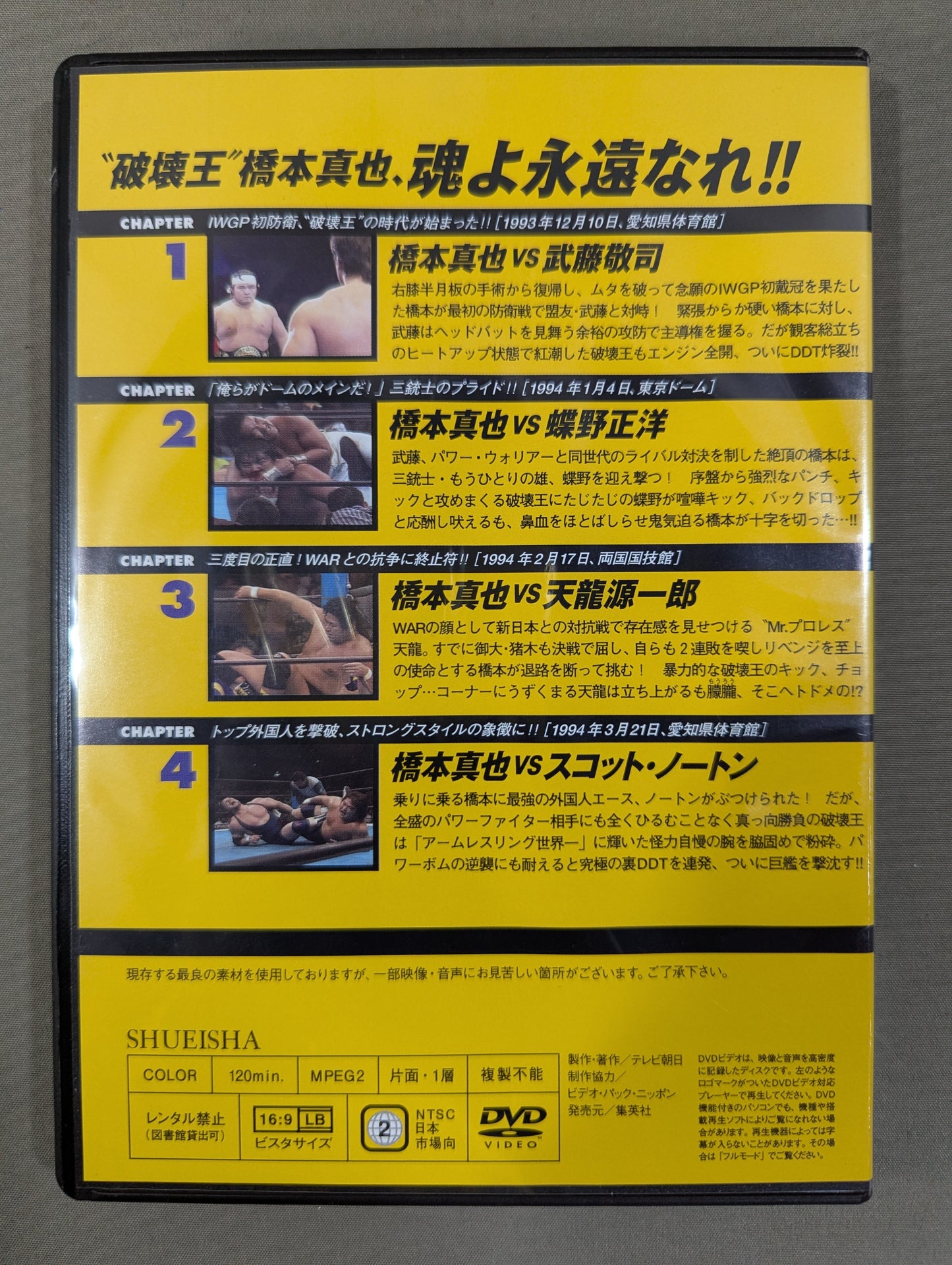 燃えろ!新日本プロレス vol.34