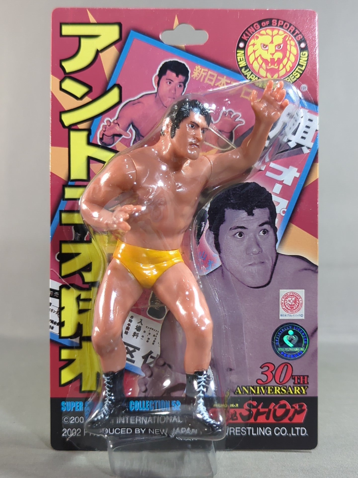 アントニオ猪木(旗揚げオープニングシリーズ) – 闘道館