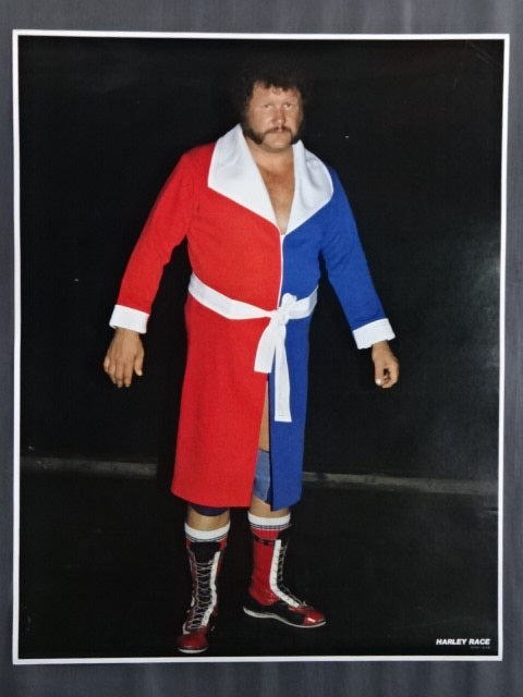 ハーリー・レイス GONG JUMBO PIN-UP WRESTLING SELECTION – 闘道館