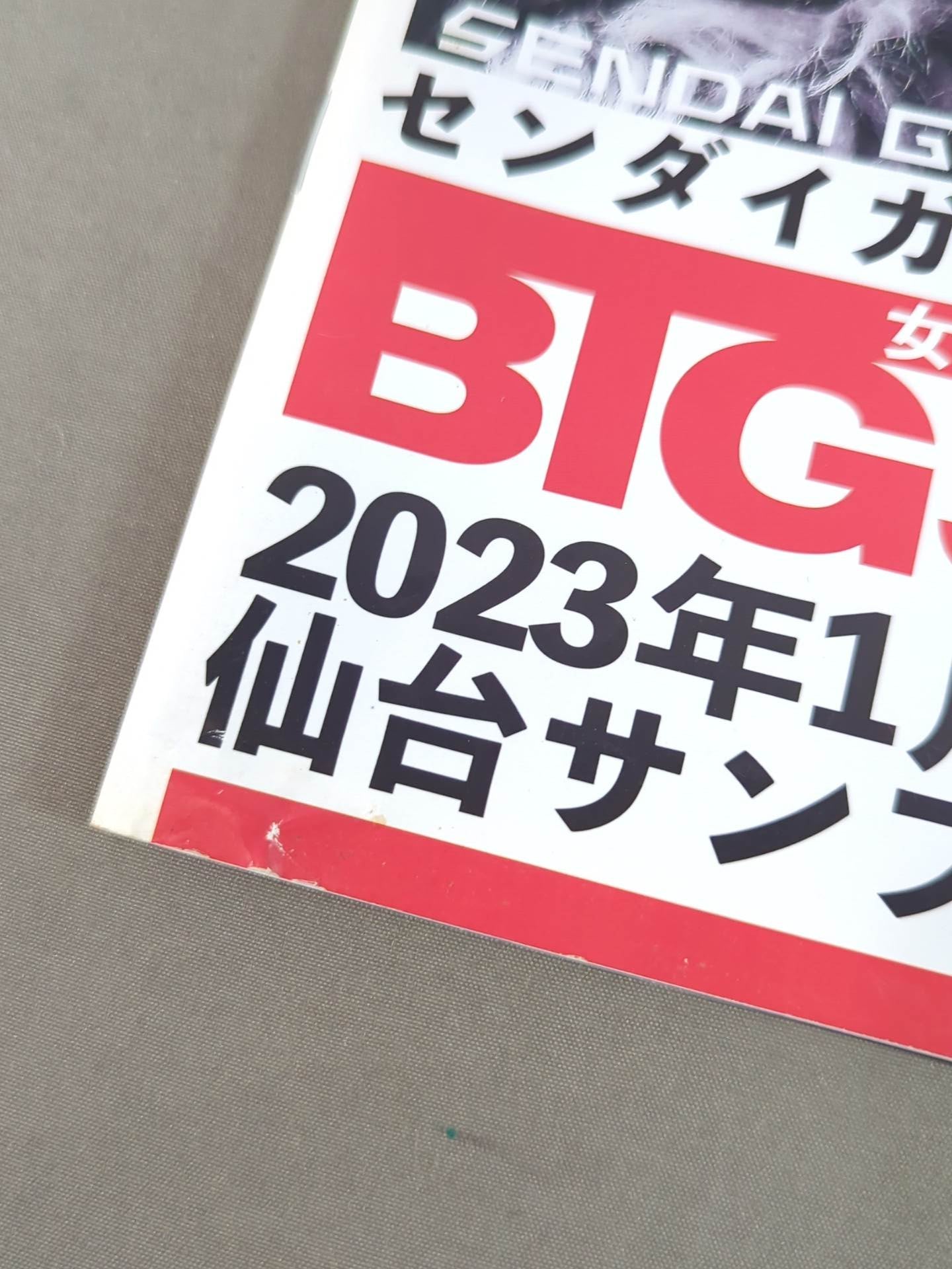 Sendai Girls / Women's Pro Wrestling BIGSHOW in Sendai (2023.1.15)