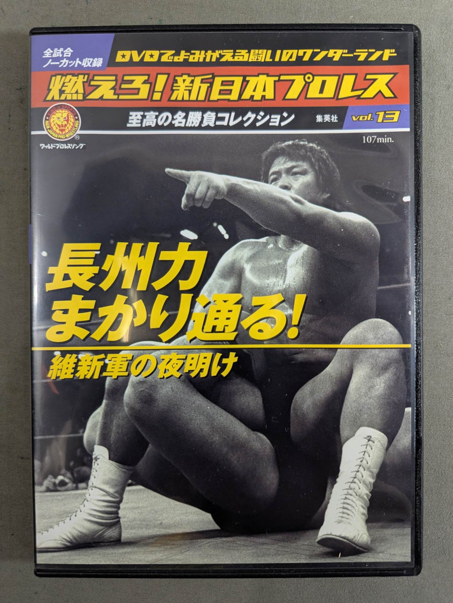 燃えろ!新日本プロレス vol.13 – 闘道館