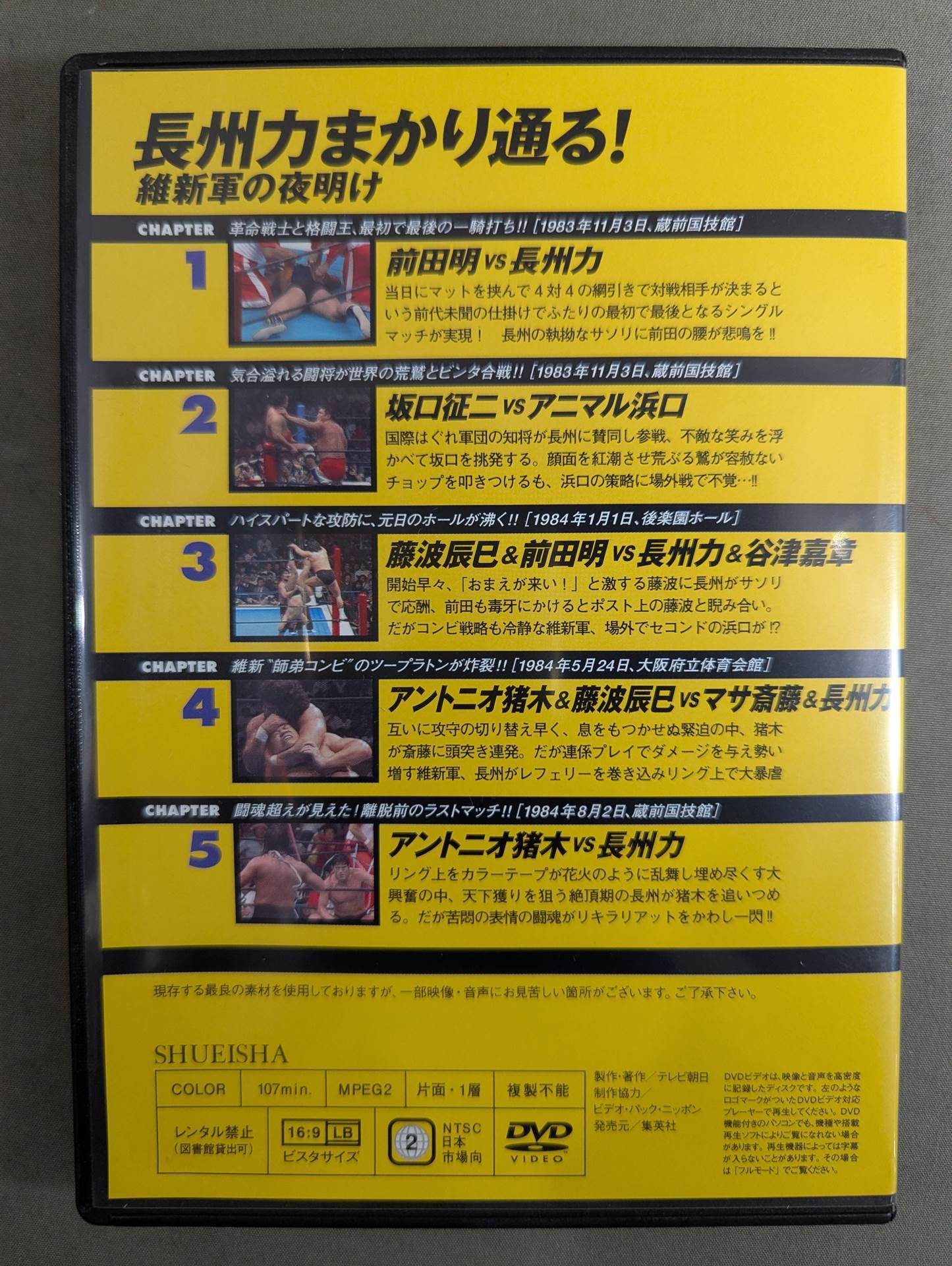 Burn! New Japan Pro Wrestling vol.13