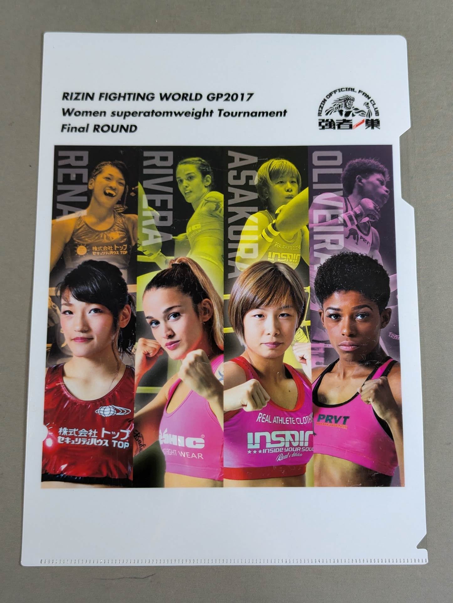 RIZIN plastic file folder sets(2)