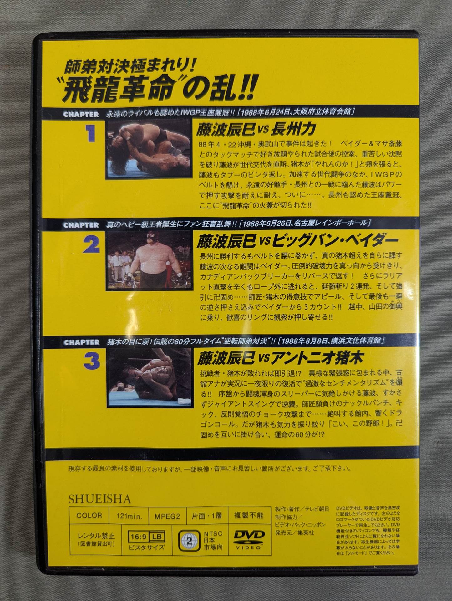 Burn! New Japan Pro Wrestling vol.36