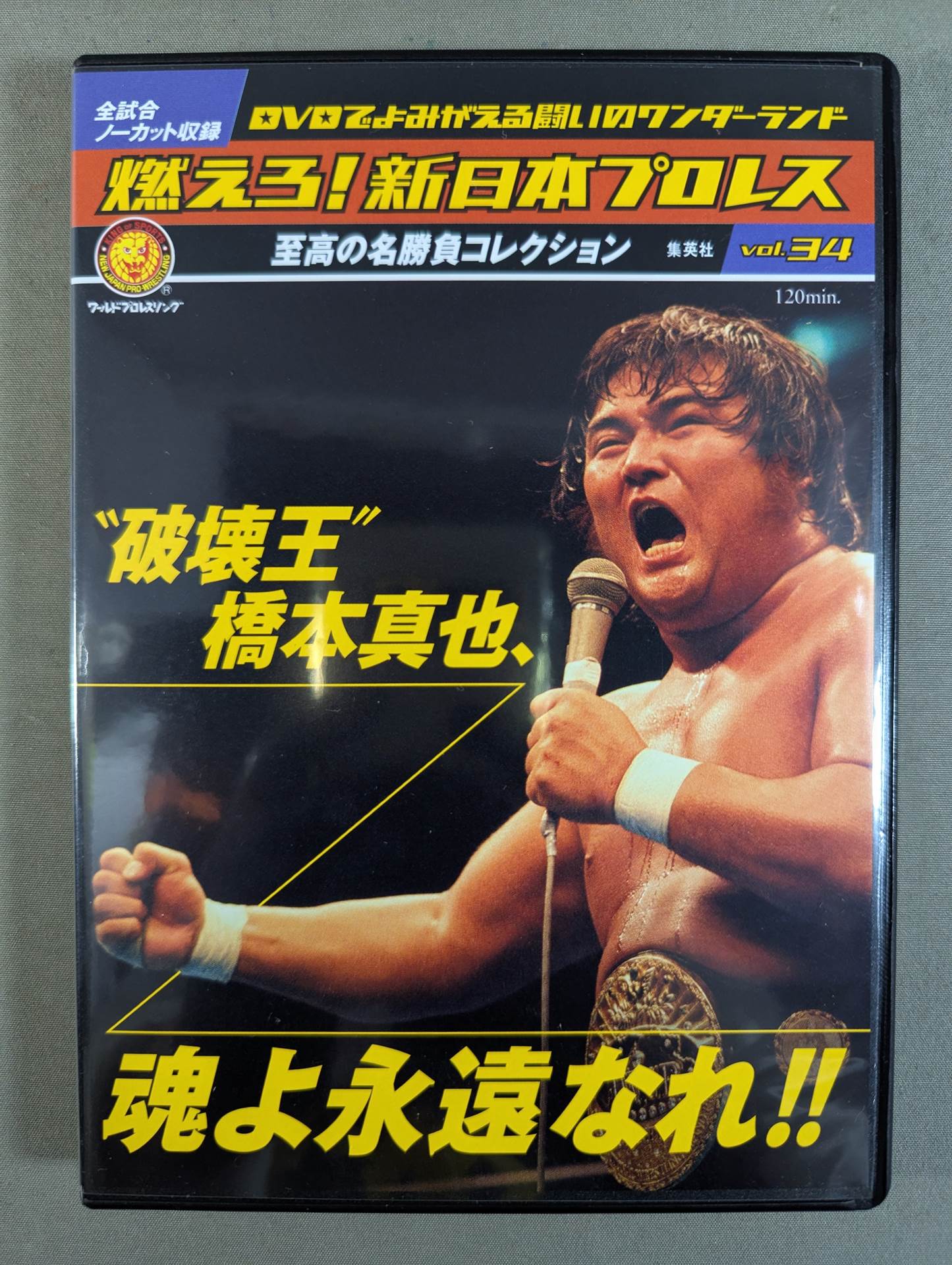 燃えろ!新日本プロレス vol.34 – 闘道館
