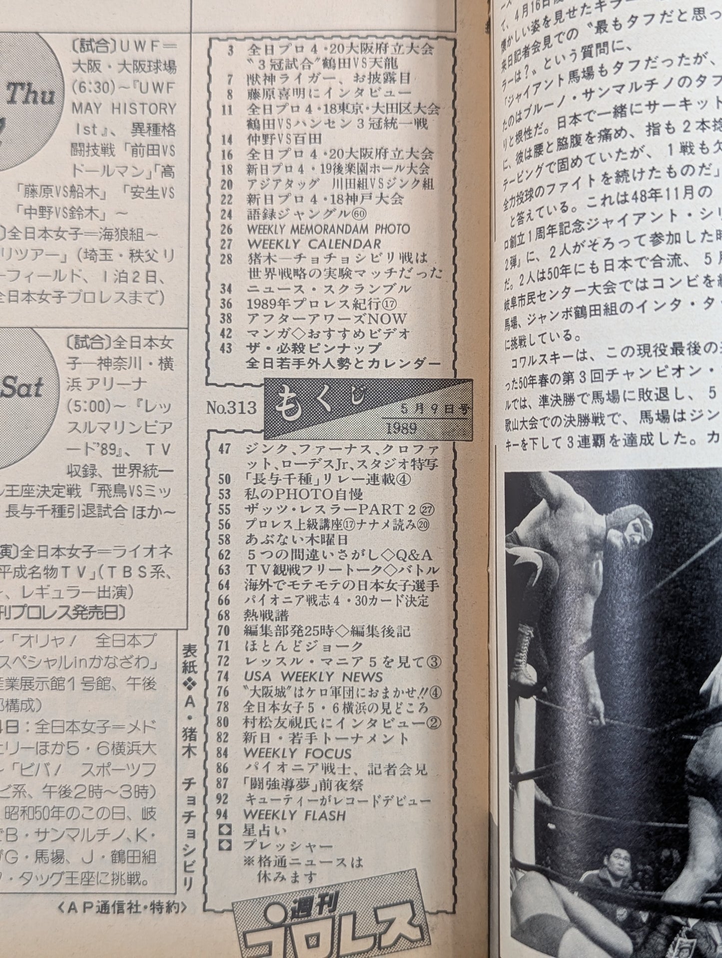 Weekly Pro Wrestling 313
