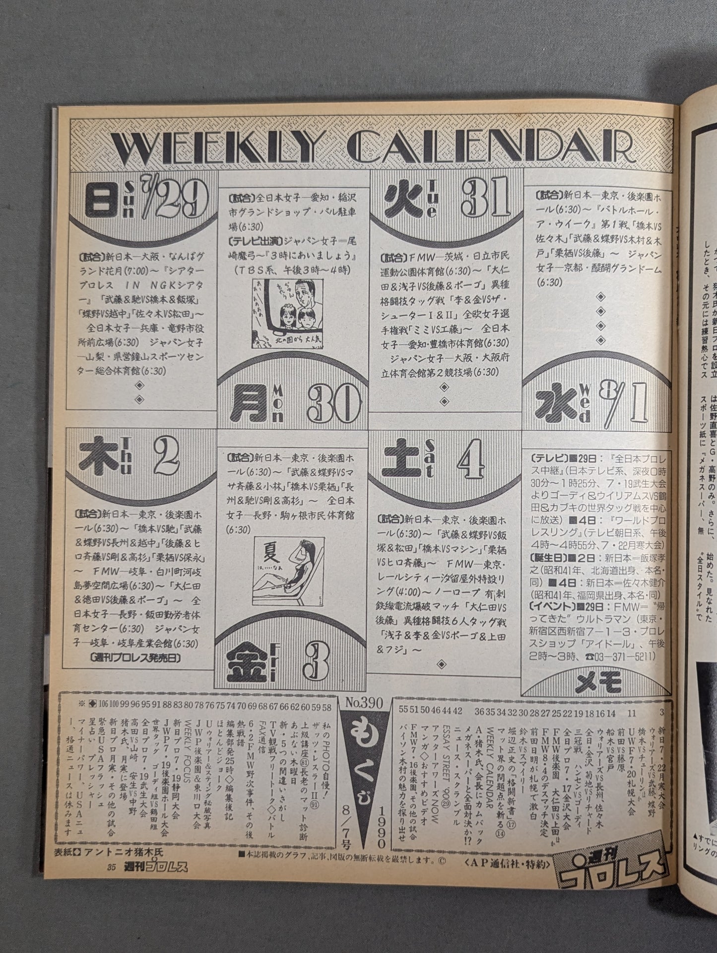 Weekly Pro Wrestling 390