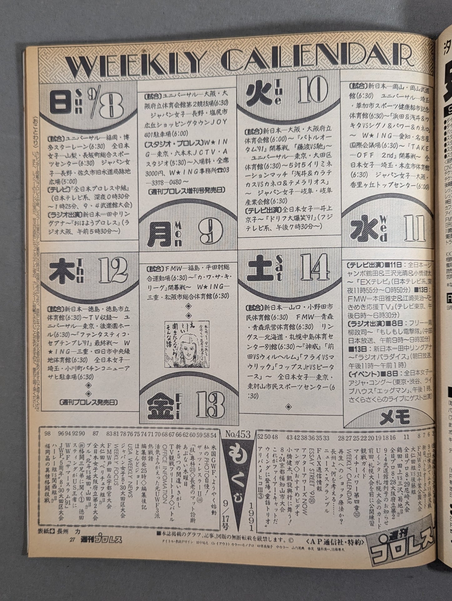 Weekly Pro Wrestling 453