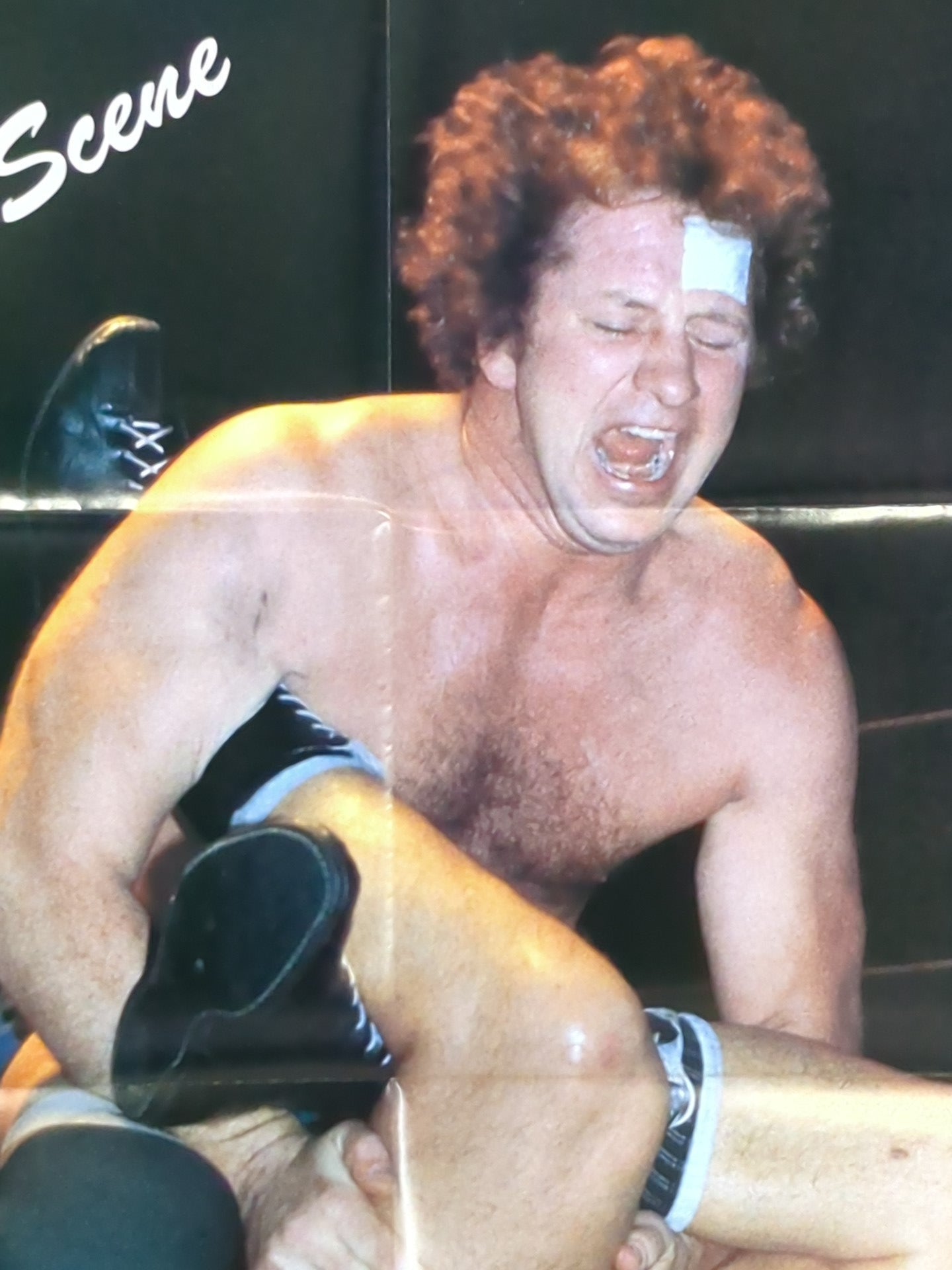 テリー・ファンク 雑誌付録ポスター