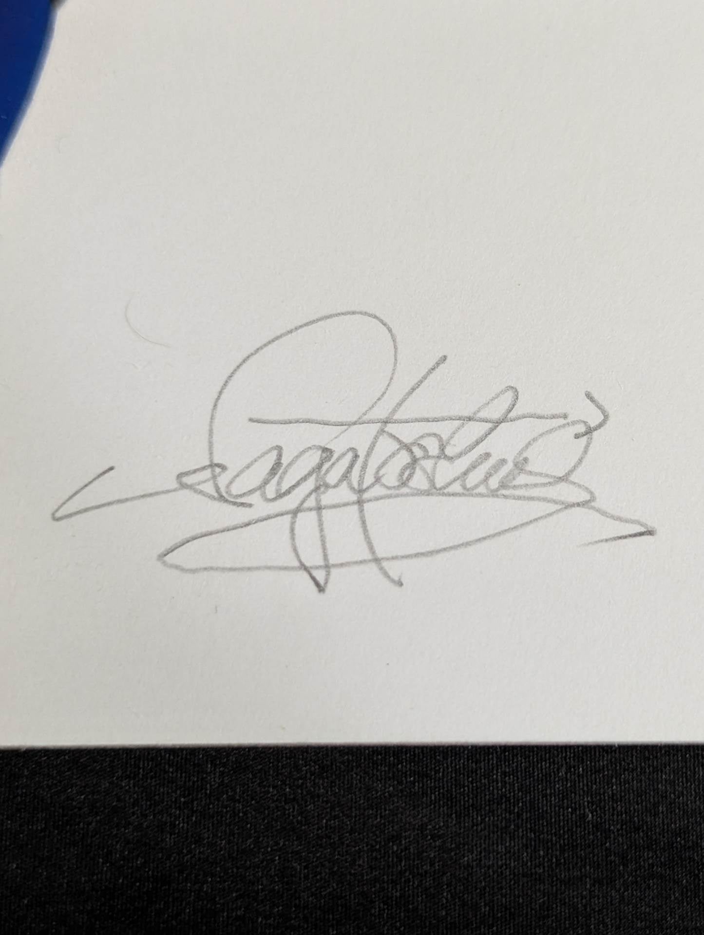 ★ Nagatoshi Sakai original painting work ★ "Four-dimensional killing method" The first tiger mask (goat)