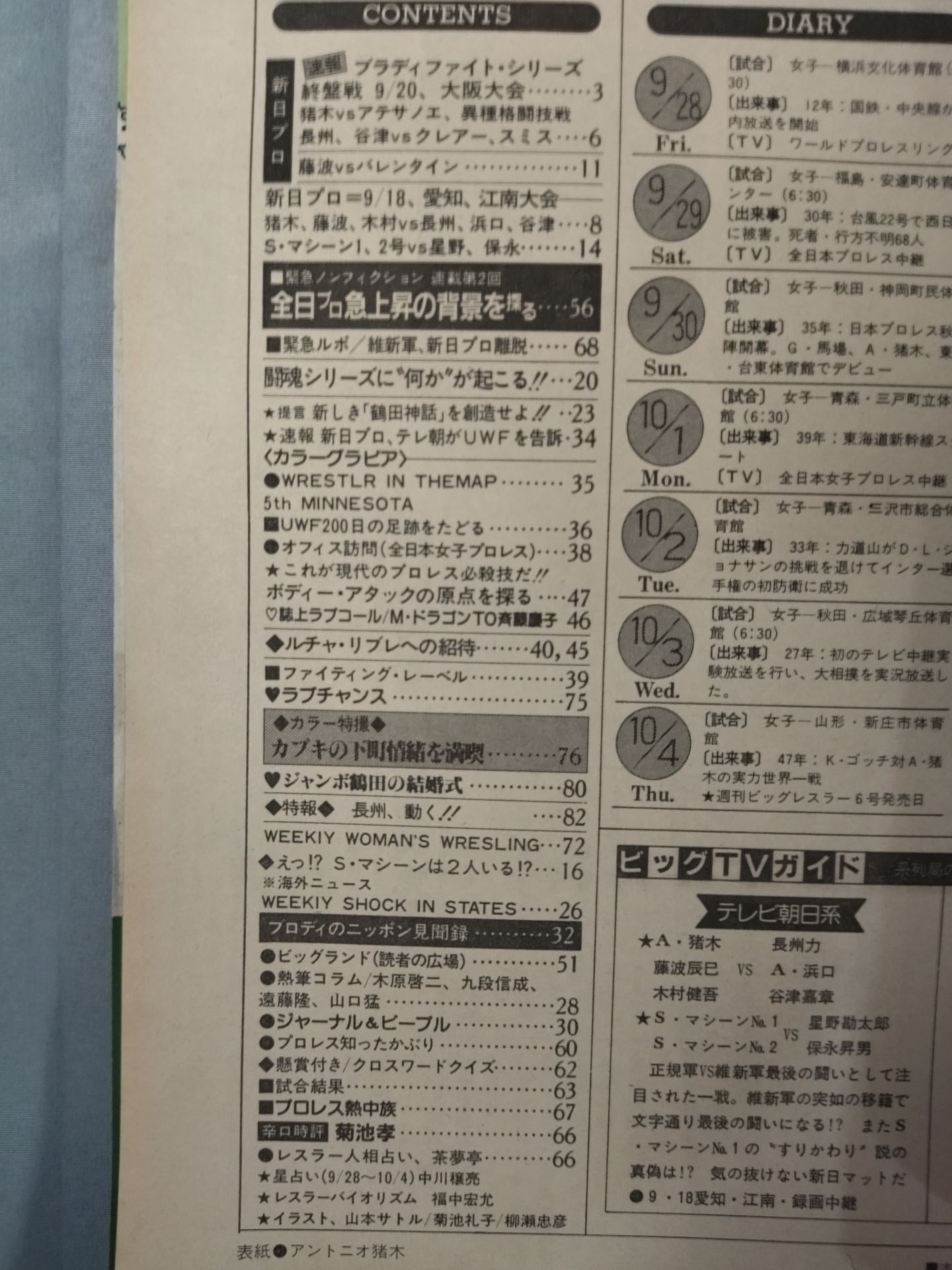 週刊ビッグレスラー5