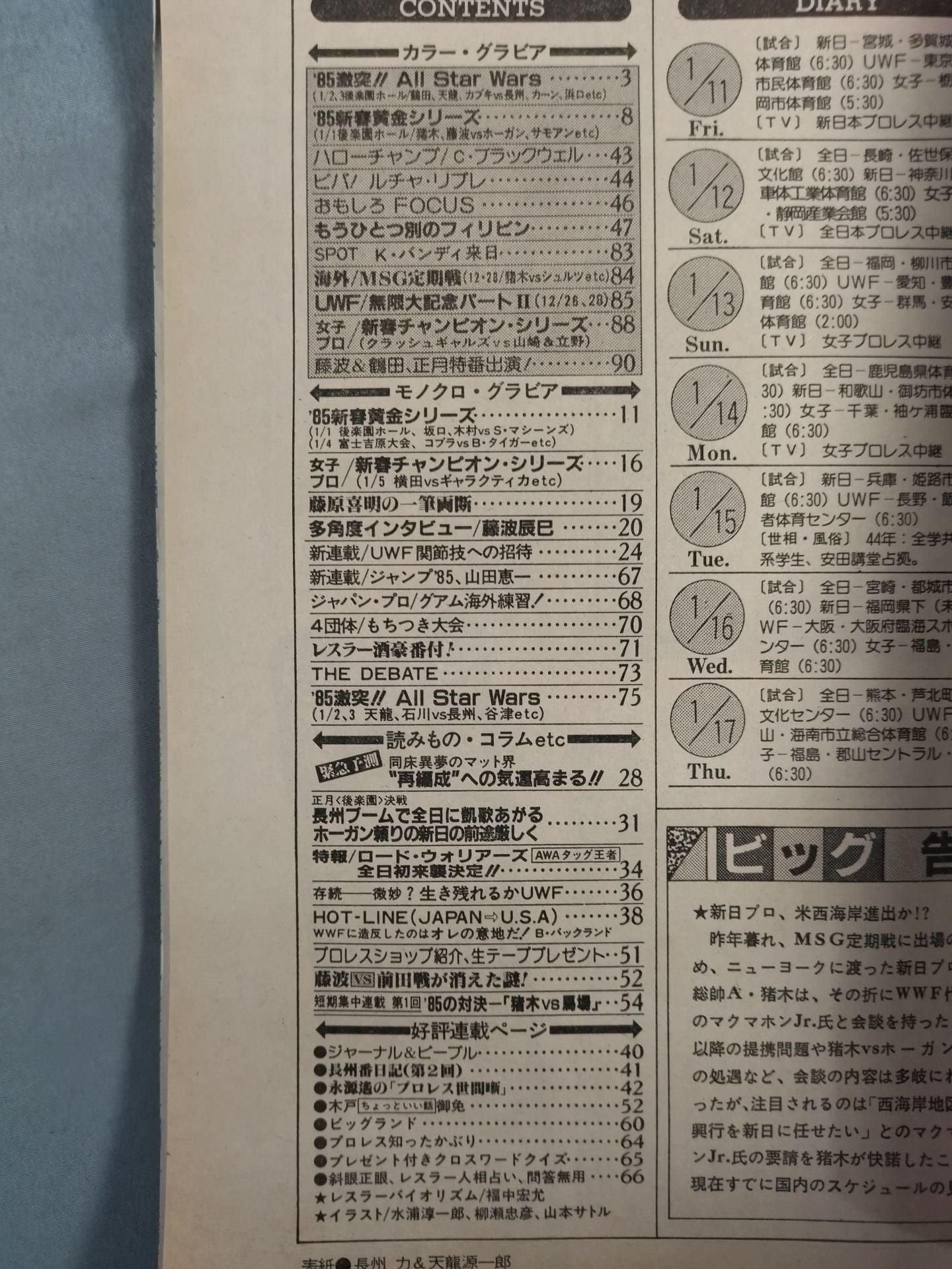 週刊ビッグレスラー19