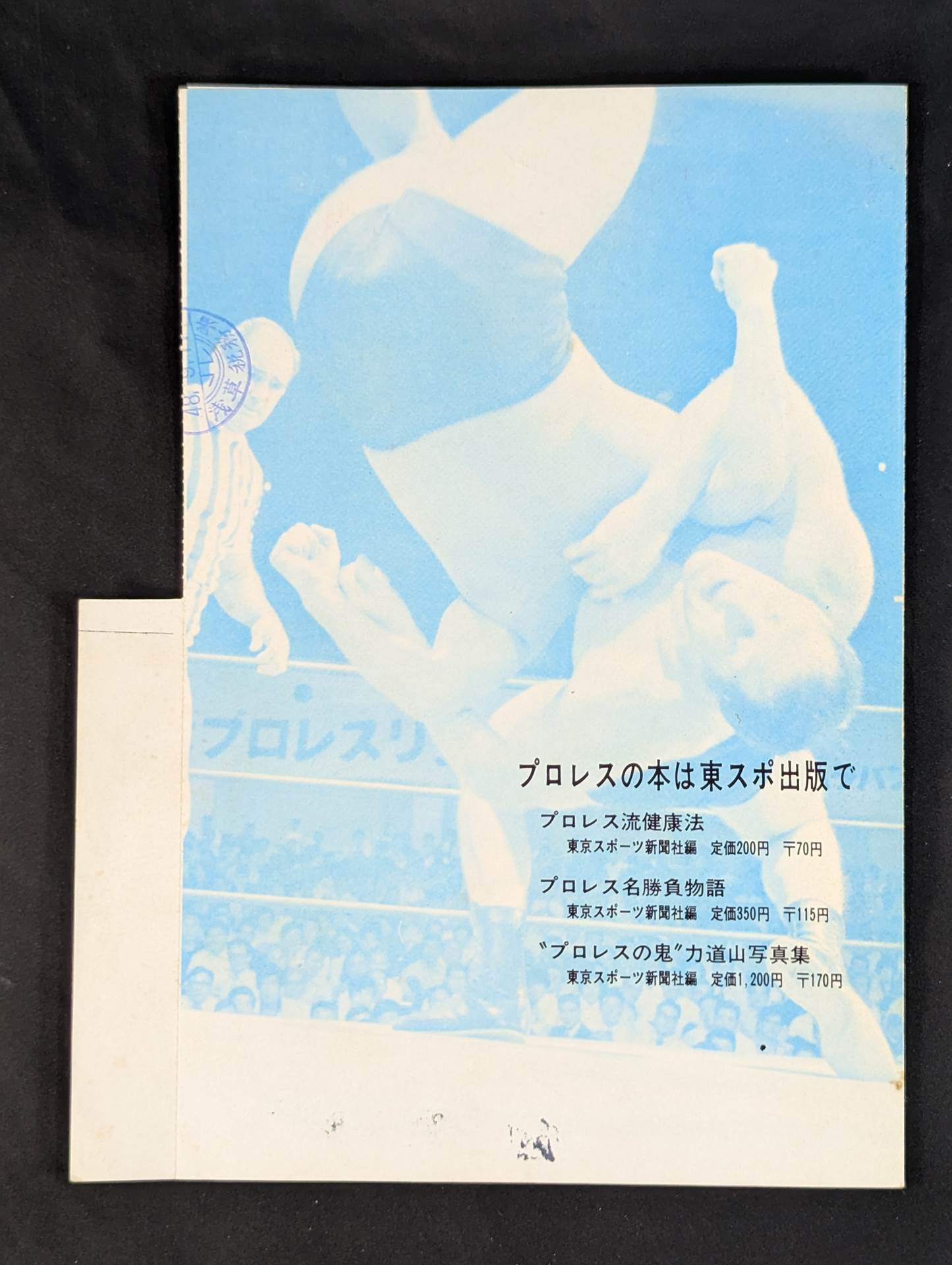 ★世紀の大決戦★ 世界最強タッグ戦