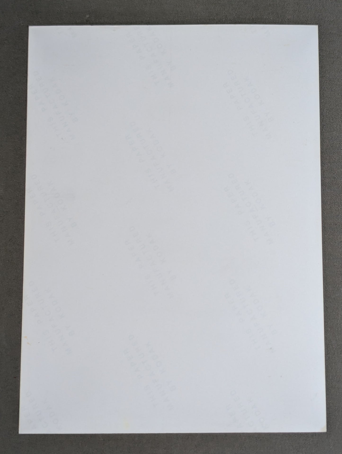 エディ・ゲレロ 白黒写真①