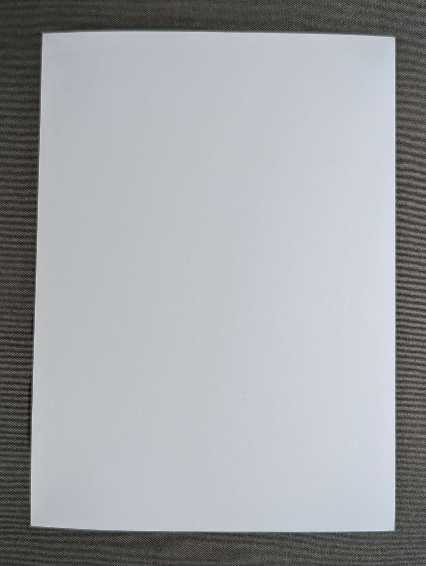 スティーブ・ウィリアムス 白黒写真①