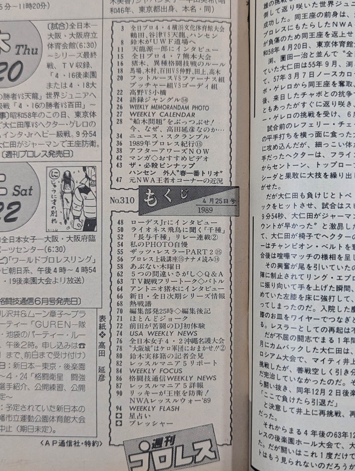 Weekly Pro Wrestling 310