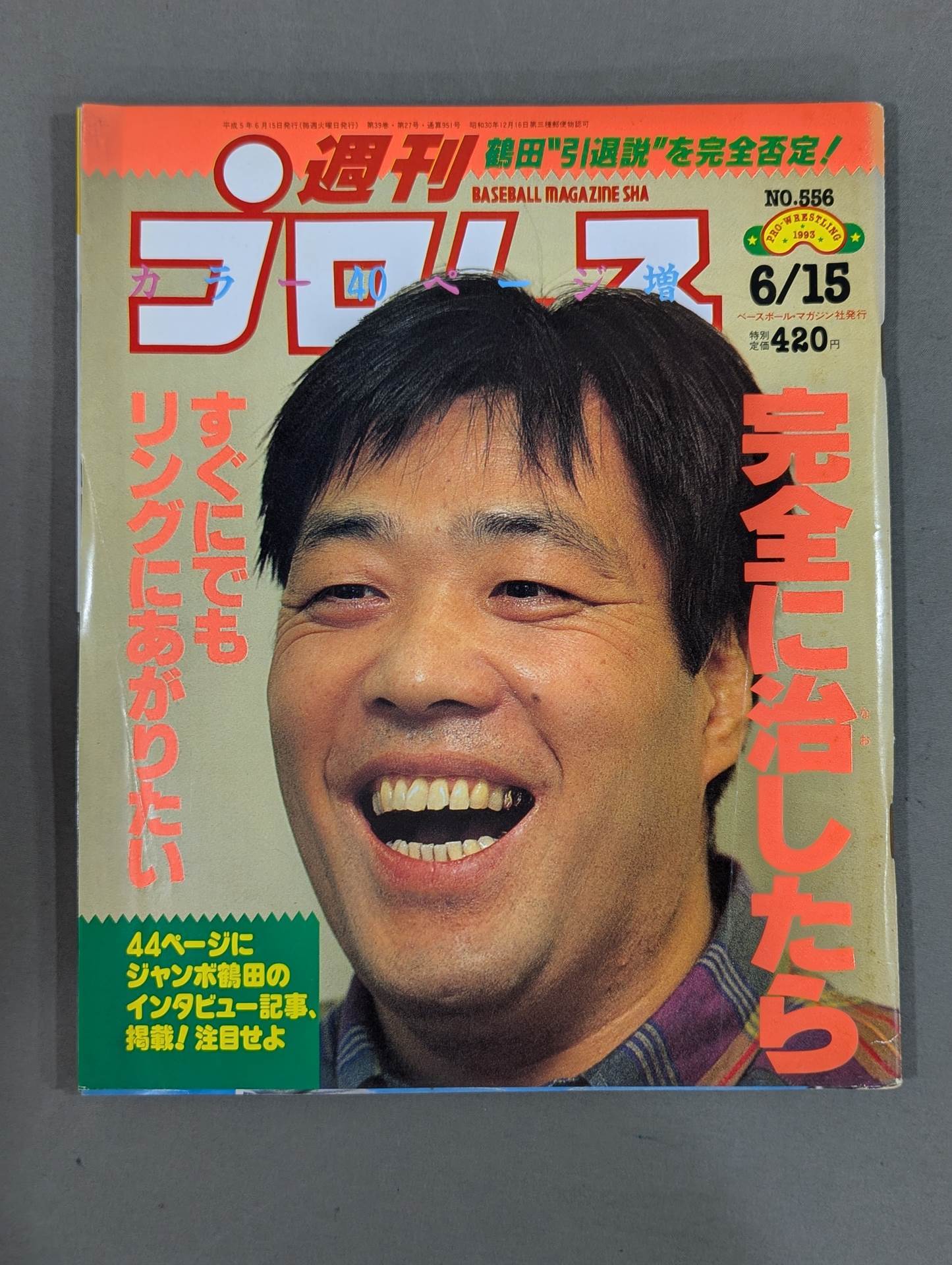 週プロ 週刊プロレス556 – 闘道館