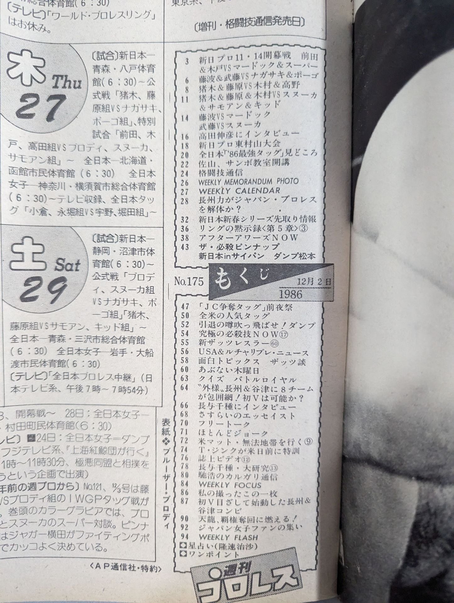 Weekly Pro Wrestling 175