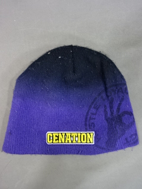 ジョン・シナ ニットキャップ①(2010(WWE) / パープル×ブラック)