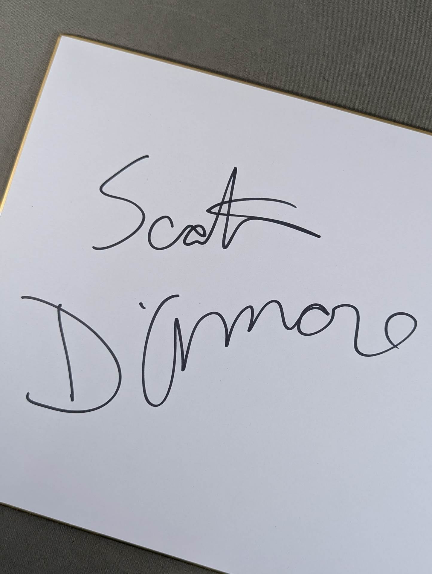 Scott Damour