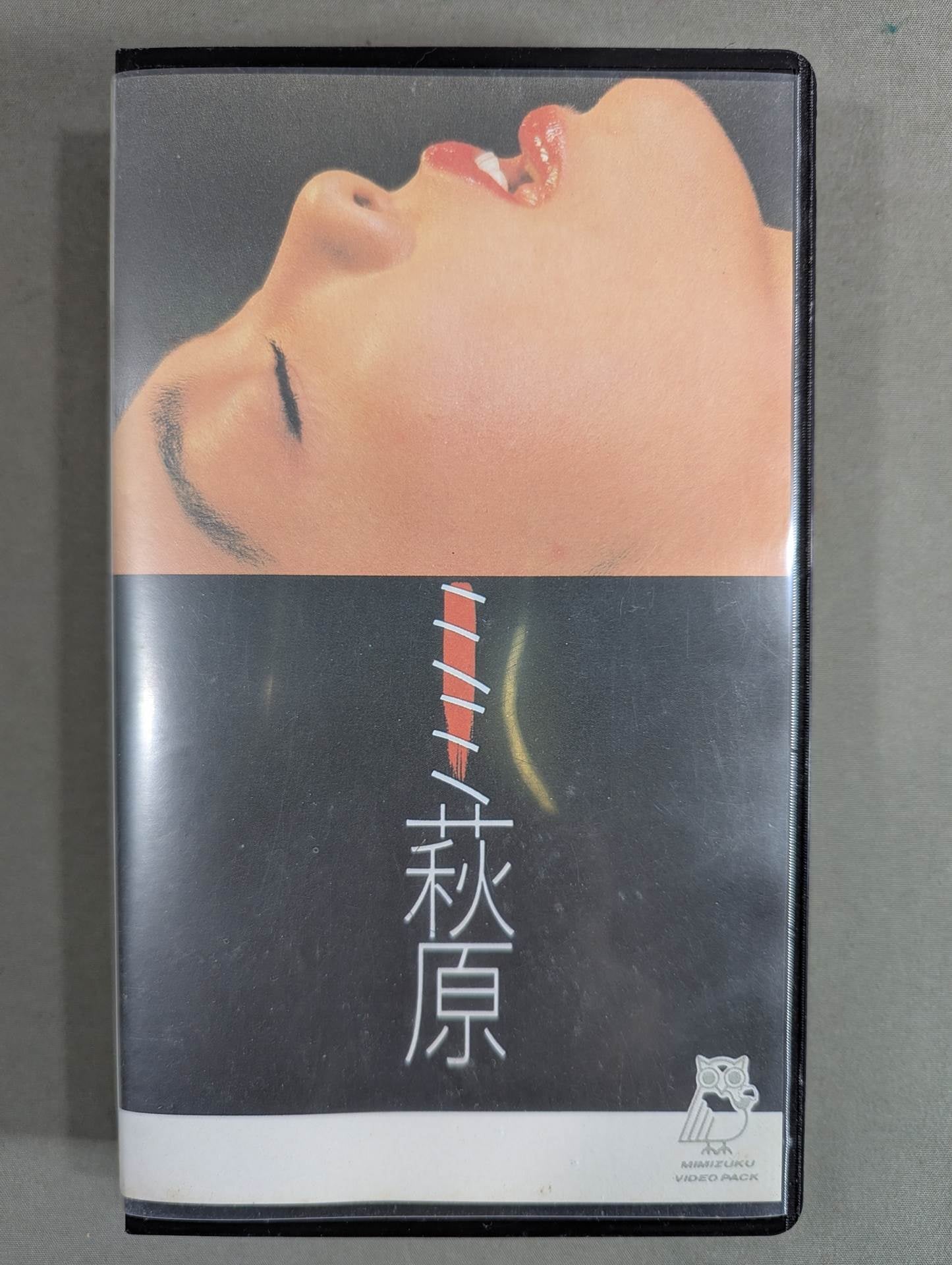 ミミ萩原 LOVEフェニックス – 闘道館