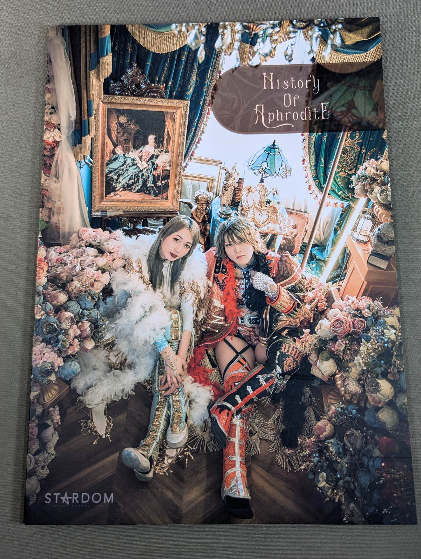 History of AphroditE – 闘道館