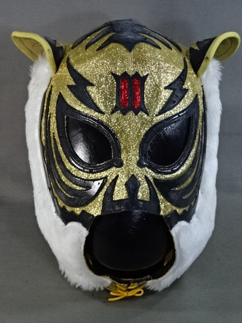 初代タイガーマスク – 闘道館