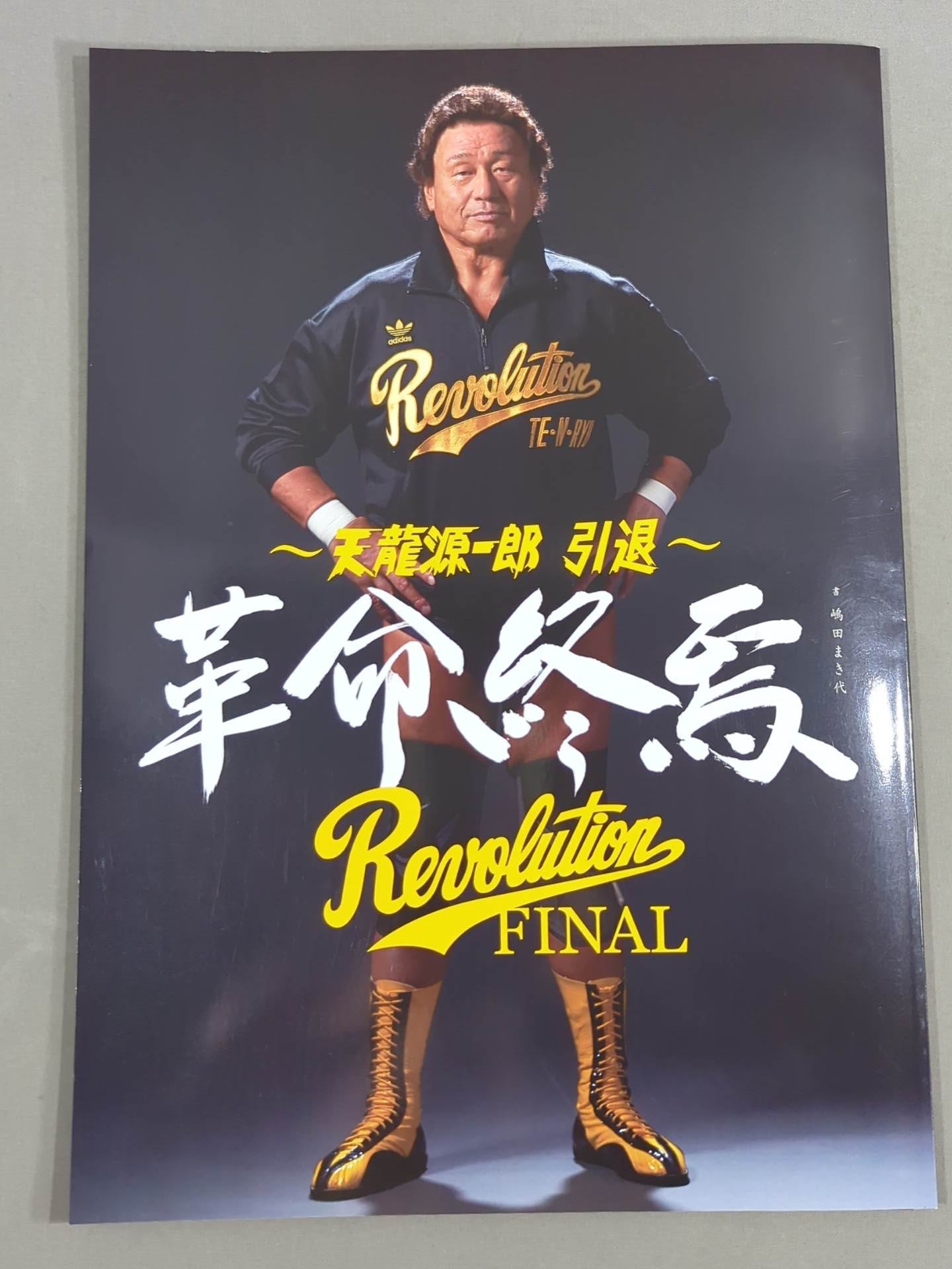 天龍源一郎 引退10周年記念興行 ~革命飛翔~