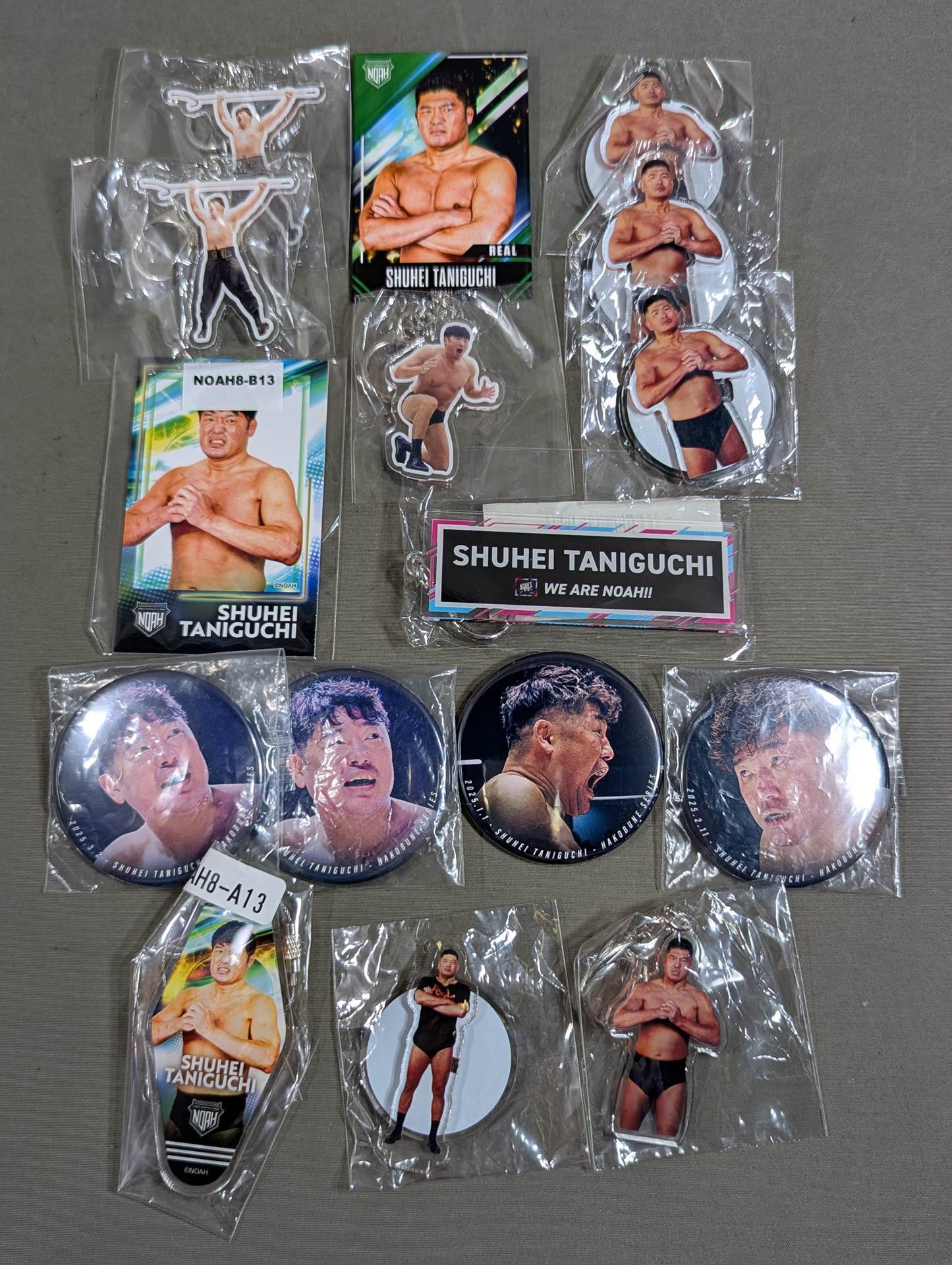 ★ Last Wyvern ★ Shuhei Taniguchi Accessory Set